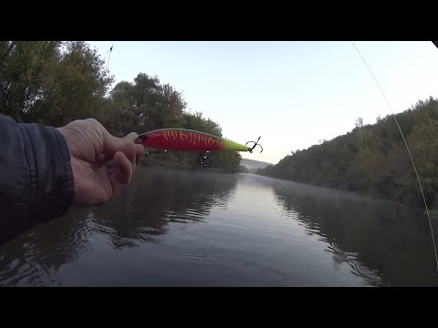 Видео: Осень.Красивая Меча,воблеры и щука!!!