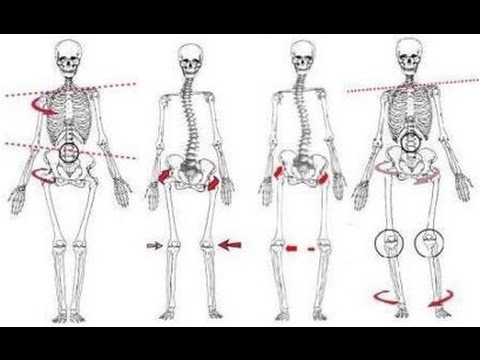 Видео: Как да оправим стойката си? - Подравняване на тялото
