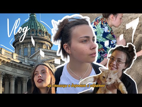 Видео: мое лето: Питер и родное село