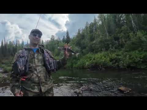 Видео: Сплав на пакрафтах с рыбалкой 2.08.24