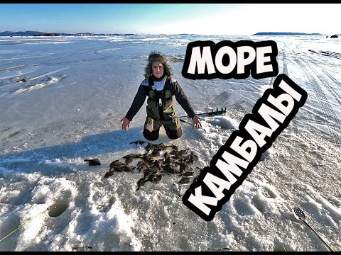 Видео: РЫБАЛКА.ЛОВИМ КАМБАЛУ НА ТАВРИЧАНКЕ. МОРЕ КАМБАЛЫ ПОД НОГАМИ .