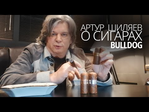 Видео: Артур Шиляев о сигарах Bulldog