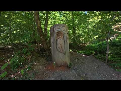 Видео: Прогулка по зеленой тропе Роза Хутор Часть 1