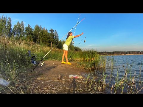 Видео: БЕШЕНЫЙ КЛËВ КАРАСЯ на донки  Ловлю карася на карьере Russian fishing