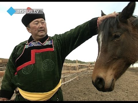 Видео: "Мунгэн сэргэ" 14.05.16