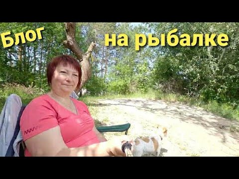 Видео: Рыбалка удалась, что наловили, река Орель, Обуховка, отдых супер, жареный карась на ужин