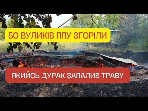 Видео: Вивіз пасіку 50 вуликів ППУ в поле і все згоріло! Вулики ППУ плюси і мінуси, робота з вуликами.