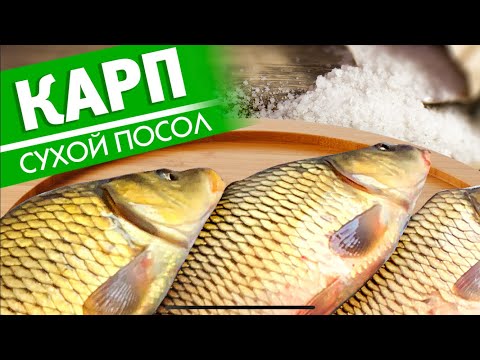 Видео: СУХОЙ ПОСОЛ РЫБЫ. Приготовление ВКУСНОЙ ВЯЛЕНОЙ РЫБЫ. Как засолить КАРПА.