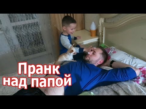 Видео: VLOG: В то время когда за окном -30 / Разыграли папу