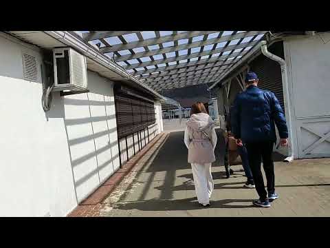 Видео: Прогулка по Архипо-Осиповке 16.03 / Кто купается в море в марте?