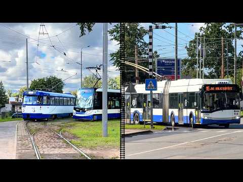Видео: От станции Шкиротава до Засулаукс: общественный транспорт Риги | Видеопрогулка 2025 🇱🇻