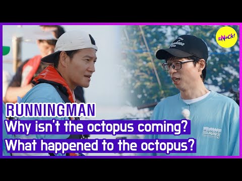 Видео: [БЕГУЩИЙ] Почему осьминог не идет? Что случилось с осьминогом? (АНГЛИЙСКИЕ СУБТИТРЫ)