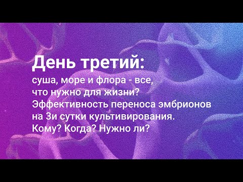 Видео: Эффективность переноса эмбриона на 3-тьи сутки