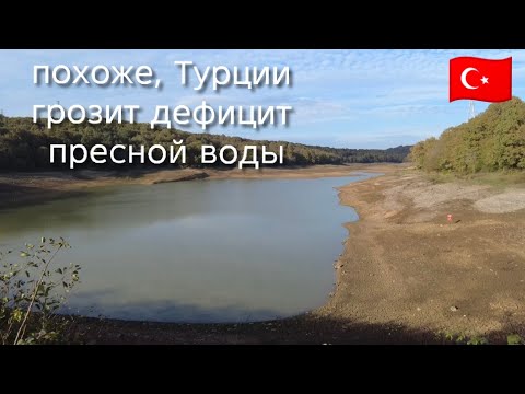 Видео: Идем в лес. Катастрофически обмелевшее озеро😳