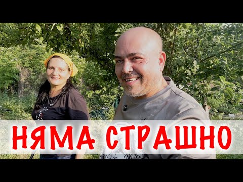 Видео: СЕЛСКИ НЕВОЛИ! Доматите не зреят! Всичко е хем наред, хем надолу с главата :-)