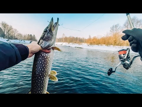 Видео: Ловил джигом весь день на одном яме, что из этого вышло? Ловля щуки на джиг [Пора ловить щуку]