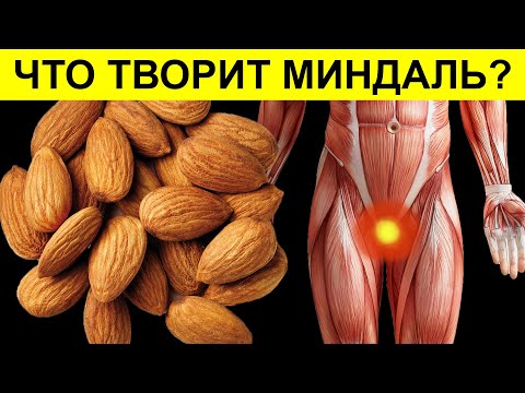 Видео: Вот что, всего один МИНДАЛЬ может сделать с вашим ОРГАНИЗМОМ