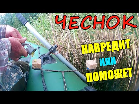 Видео: ВЫ ЭТОГО ТОЧНО НЕ ЗНАЛИ!!! Стоит ли добавлять чеснок в прикормку. Подводная съёмка.