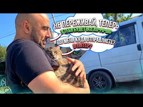 Видео: Финик жил всю жизнь на улице🥺 и в пожилом возрасте ему нашлась ПРЕКРАСНАЯ семья😍