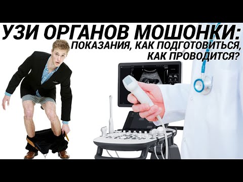 Видео: УЗИ органов мошонки: яичек, придатков, вен и сосудов. Показания, как подготовиться, как проводится?