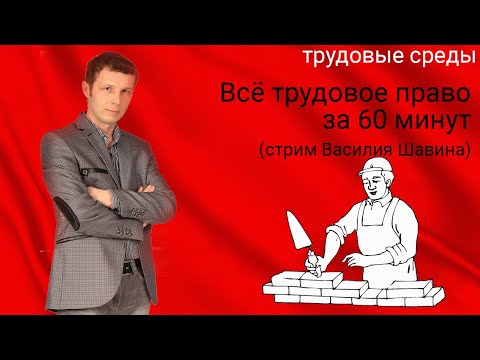 Видео: Всё трудовое право за 60 минут