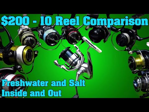 Видео: Руководство по выбору спиннинговой катушки за 200 долларов. Разборка, сравнение и обзор. Shimano,...