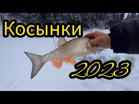 Видео: ЭТО ЧТО ТАКОЕ? КАК ИХ ВЫТАЩИТЬ. Рыбалка на Косынки 2023.