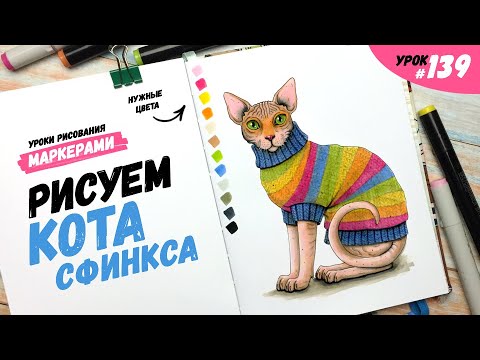 Видео: Как нарисовать кота сфинкса? / Видео-урок по рисованию маркерами #139