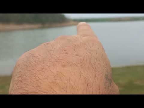 Видео: Рыбалка на реке Кура 2025г 14 04