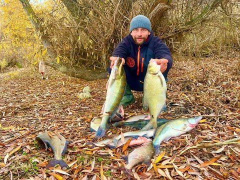 Видео: НУ ВСЕ-ТАКИ СРАБОТАЛА СНАСТЬ рыбалка видео