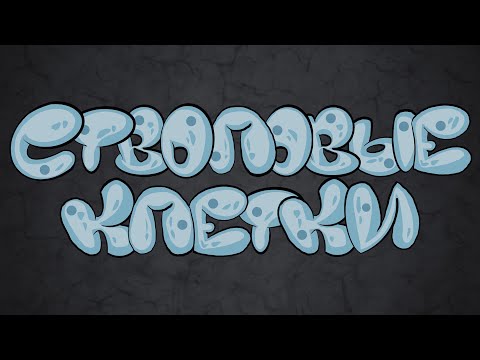 Видео: Стволовые Клетки: Как создать Эмбриоиды (Анимация)