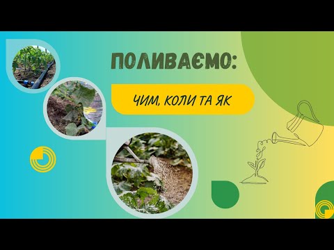 Видео: Про полив городини - для городників-початківців