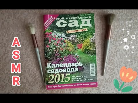 Видео: ✨ ASMR  Magazine | АСМР Журнал 💤