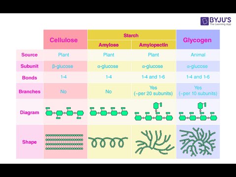 Видео: Лекарственные растения и лекарственное растительное сырье, содержащее полисахариды Лекция