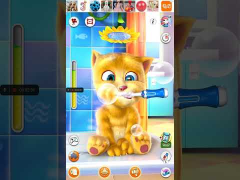 Видео: Говорящий Джинджер/ Talking Ginger🤗🥰😍 #talkingginger #ginger