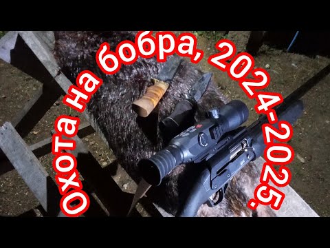 Видео: Охота на бобра с ночным цифровым прицелом, ружьё МР-155, первый трофей 2024 года.