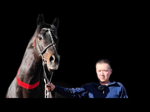 Видео: Майрамбектин жылкы чарбасы 👍👍👍Тел+996556886008