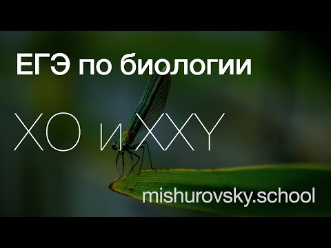 Видео: Синдромы Тернера и Клайнфельтера | Биология ЕГЭ