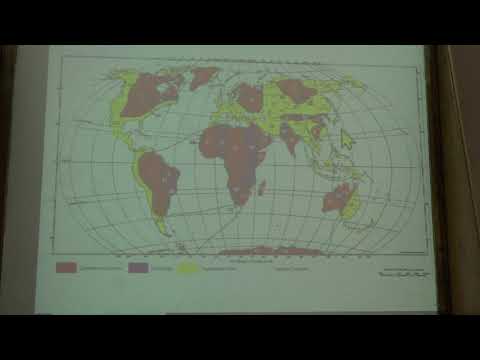 Видео: Габдуллин Р. Р. - Историческая геология - 11. Ранний палеозой