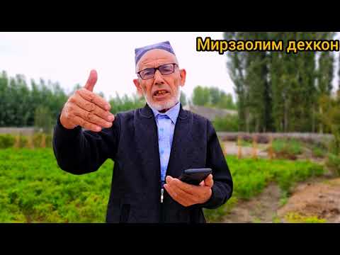 Видео: Задниймостни мойини алмаштириш керакми