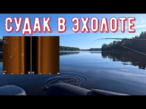 Видео: Попал на стаю! Судак в июне. Ищем судака по эхолоту Lowrance HDS Live