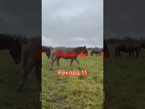 Видео: 15 октября 2025 г.