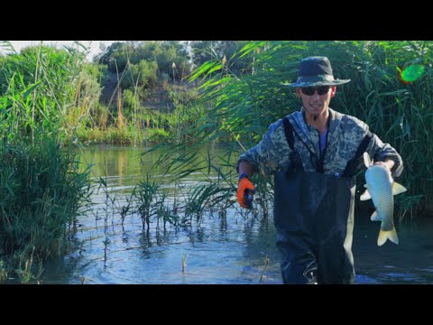 Видео: Одно дело попасть,  вытащить то сложно, рыбалка с рогаткой