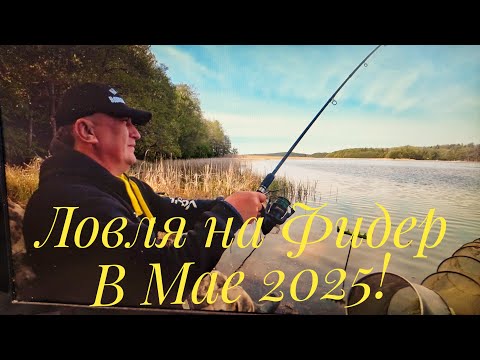 Видео: ЭТО ОЗЕРО РАЗДАЁТ! РЫБА НА КАЖДОМ ЗАБРОСЕ! ПОДСКАЗКИ КАК УЛУЧШИТЬ КЛЁВ. ЛОВЛЯ НА ФИДЕР В МАЕ 2025!