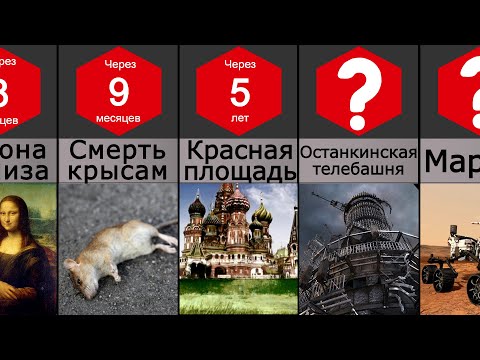 Видео: Земля: Жизнь без людей
