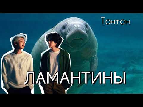 Видео: Ламантины/Tonetone/озвучка Cat Wild