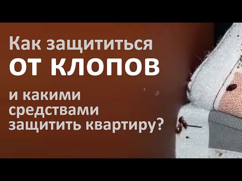 Видео: Как защититься от клопов и пресечь их повторное проникновение в квартиру?