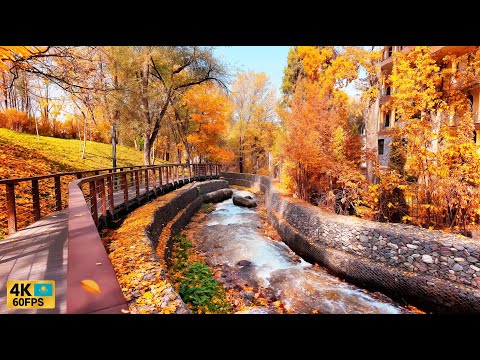 Видео: 🍁 Я прошла по самому красивому осеннему маршруту Казахстана — терренкур Алматы [4K, 60FPS]