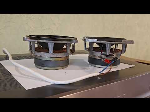 Видео: 5 ноября 2025 г.