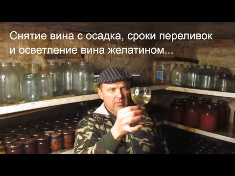 Видео: Снятие с осадка вина | Сроки переливки вина из винограда | Осветление вина желатином